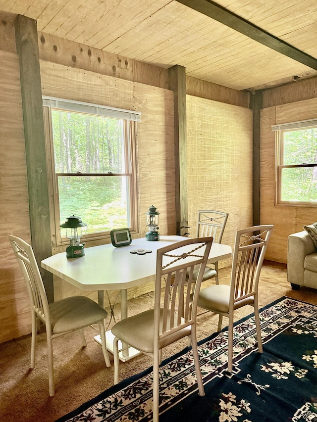 23266 Hayes Rd, Big Rapids, MI 49307 - dining area featuring wooden ceiling, wood walls, and carpet flooring