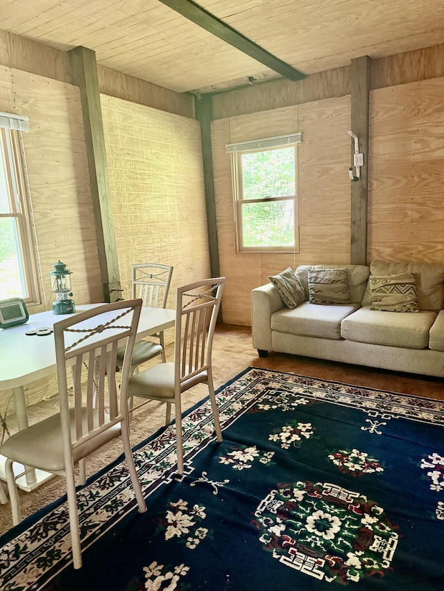 23266 Hayes Rd, Big Rapids, MI 49307 - living room with wooden ceiling and wood walls