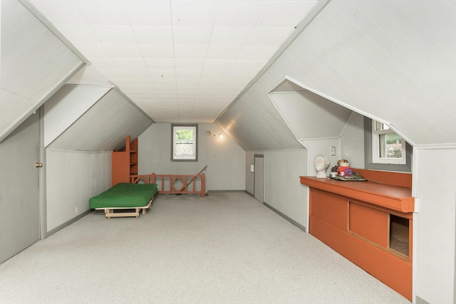 7125 Edwards Rd, Michigan, MI 48111 - additional living space with carpet floors and vaulted ceiling