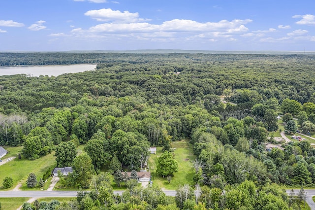 1722 Benson, Fountain, MI 49410 - aerial view of a forest and a nearby body of water