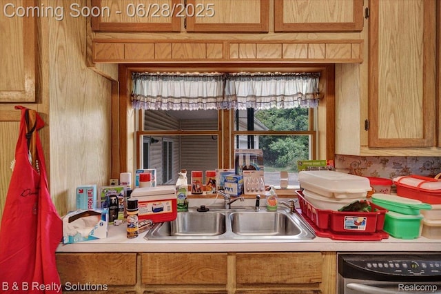 3423 Nichols Rd, Auburn Hills, MI 48326 - kitchen featuring dishwasher and light countertops