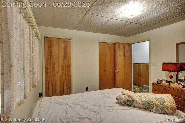 3423 Nichols Rd, Auburn Hills, MI 48326 - bedroom with multiple closets and wood walls