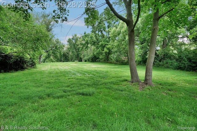 3423 Nichols Rd, Auburn Hills, MI 48326 - view of green lawn