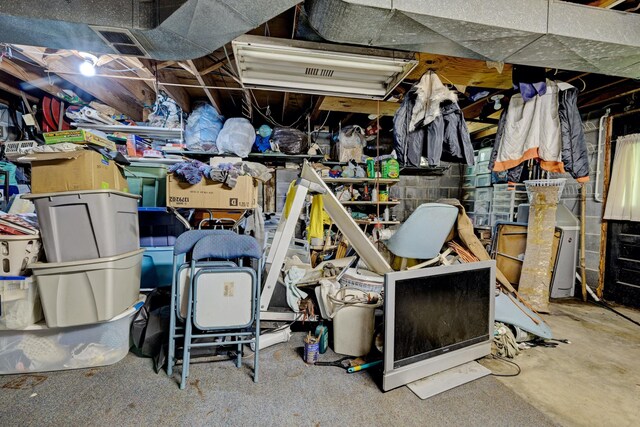 3618 Rohr Rd, Lake Orion, MI 48359 - view of storage
