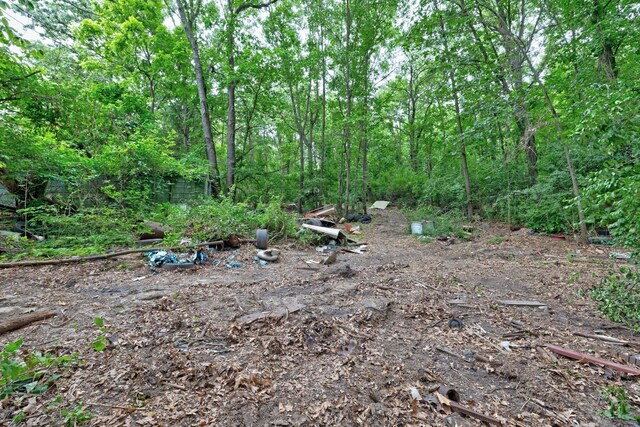 3618 Rohr Rd, Lake Orion, MI 48359 - view of nature