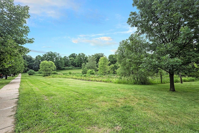 209 N 7th St, Ann Arbor, MI 48103 - view of green lawn
