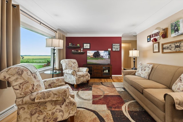 200 Begole Rd, Milan, MI 48160 - living room featuring a baseboard radiator and wood finished floors