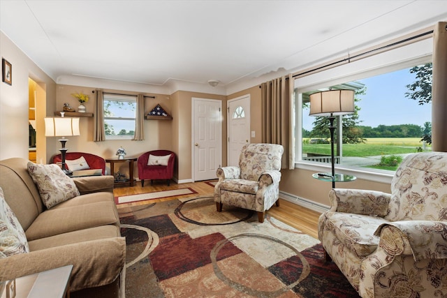 200 Begole Rd, Milan, MI 48160 - living room featuring wood finished floors and baseboards