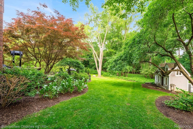 633 Hawthorne St, Birmingham, MI 48009 - view of grassy yard