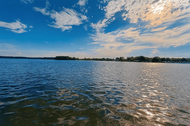 238 Cooks Lndg, Michigan Center, MI 49254 - water view