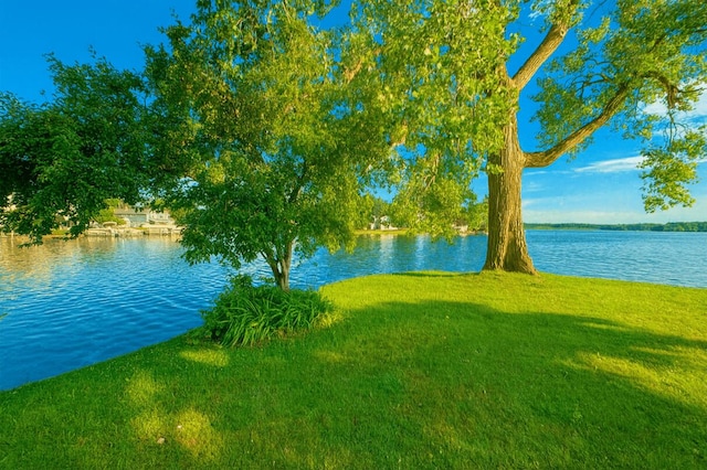 238 Cooks Lndg, Michigan Center, MI 49254 - water view
