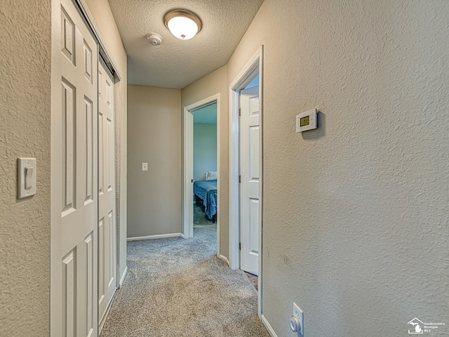8299 Galloway Dr, Lambertville, MI 48144 - hall featuring a textured ceiling, carpet, and a textured wall