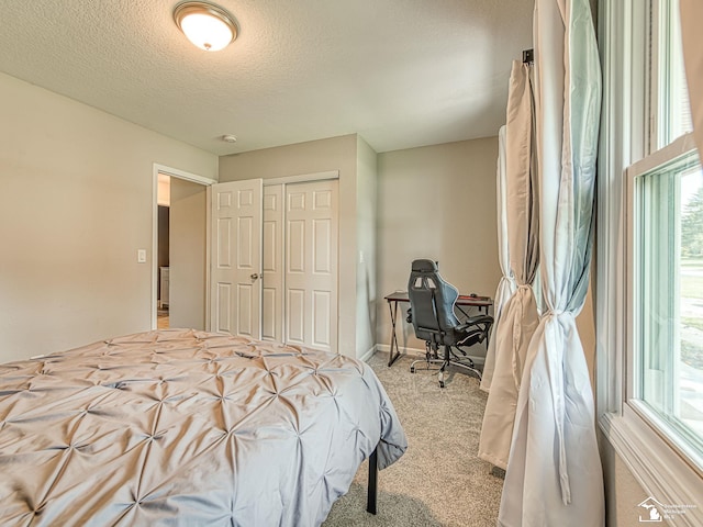 8299 Galloway Dr, Lambertville, MI 48144 - bedroom featuring carpet, a closet, a textured ceiling, and multiple windows