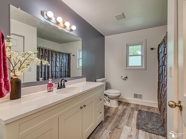 8299 Galloway Dr, Lambertville, MI 48144 - bathroom featuring wood finished floors, vanity, a textured ceiling, and a shower with shower curtain