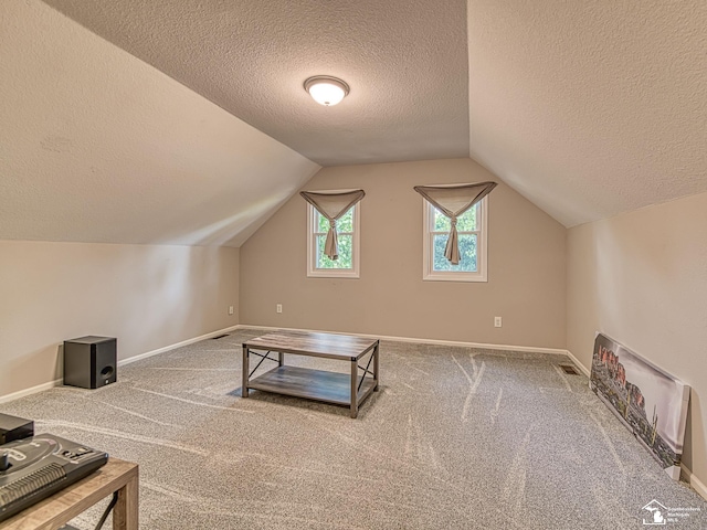 8299 Galloway Dr, Lambertville, MI 48144 - bonus room featuring a textured ceiling, vaulted ceiling, and carpet