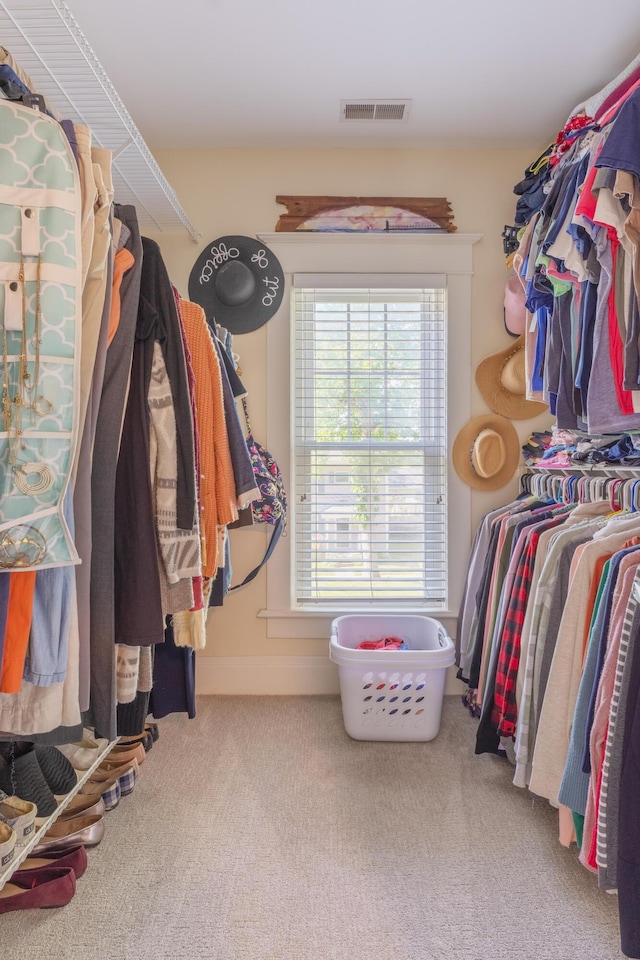 464 Kalamazoo St, South Haven, MI 49090 - spacious closet with carpet flooring