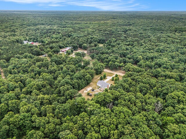 1088 E Mckinley Rd, Rothbury, MI 49452 - photo 41