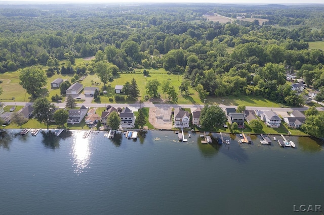 6820 Devils Lake Hwy, Manitou Beach, MI 49253 - aerial view of residential area with a large body of water