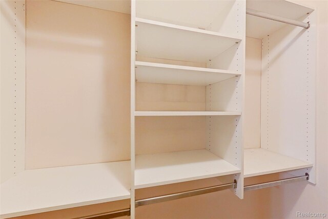 11589 Lombardy Ct, Pinckney, MI 48169 - view of spacious closet