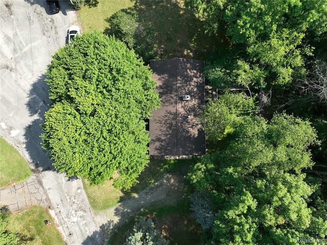 11589 Lombardy Ct, Pinckney, MI 48169 - aerial view