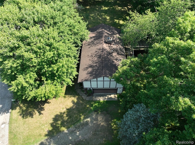 11589 Lombardy Ct, Pinckney, MI 48169 - view from above of property