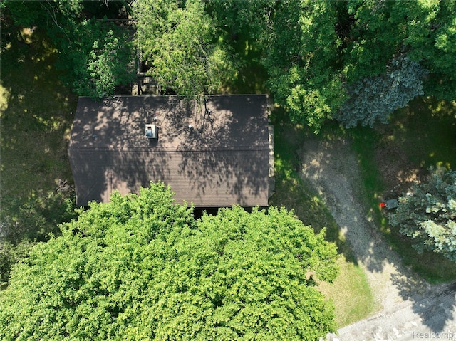 11589 Lombardy Ct, Pinckney, MI 48169 - aerial view of property and surrounding area