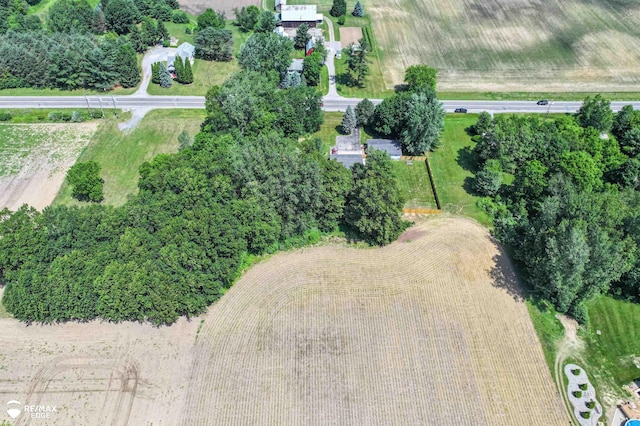 7226 Junction Rd, Frankenmuth, MI 48722 - aerial view of property's location