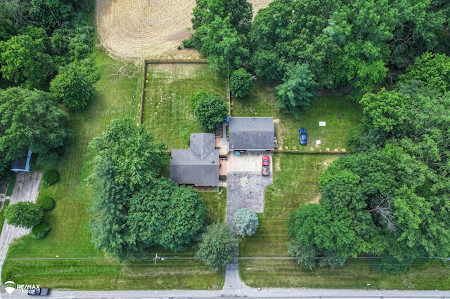 7226 Junction Rd, Frankenmuth, MI 48722 - aerial view of property's location
