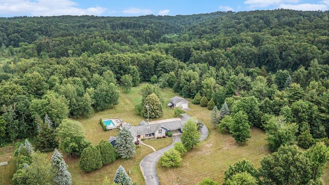 25150 Mintdale Rd, Sturgis, MI 49091 - photo 3