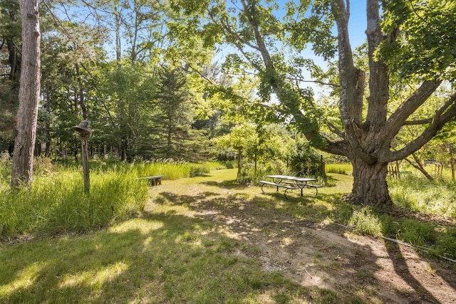 11256 S Lacore Rd, Empire, MI 49630 - photo 41