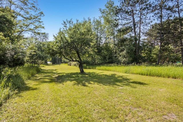 11256 S Lacore Rd, Empire, MI 49630 - photo 42