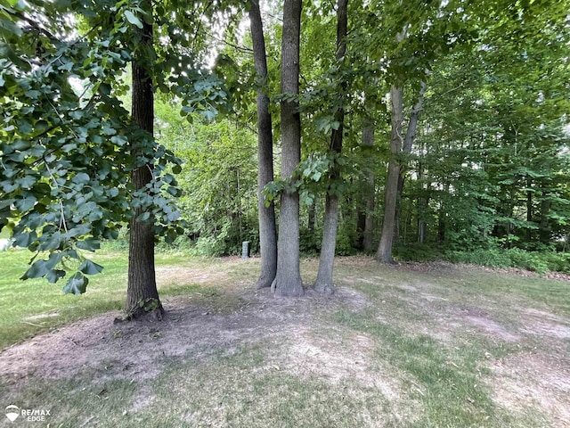 9238 Oakview Dr, Swartz Creek, MI 48473 - view of yard