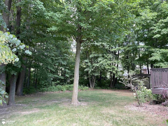 9238 Oakview Dr, Swartz Creek, MI 48473 - view of yard