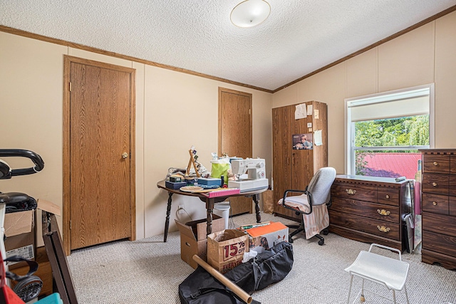 405 W Osborne Rd, Delton, MI 49046 - carpeted home office featuring vaulted ceiling, crown molding, and a textured ceiling