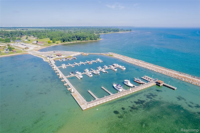 1083 S Lakeshore Rd, Harbor Beach, MI 48441 - photo 54