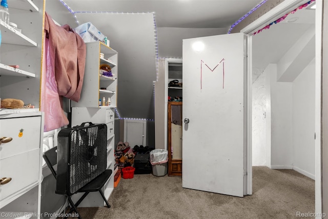 22355 Curie Ave, Warren, MI 48091 - spacious closet with carpet floors