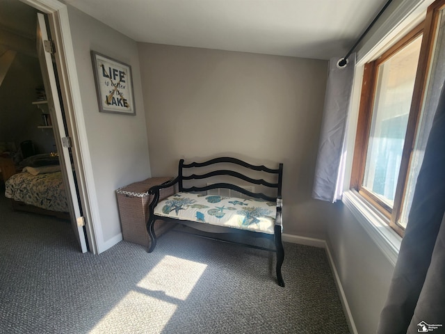 295 Grove St, Manitou Beach, MI 49235 - bedroom featuring carpet