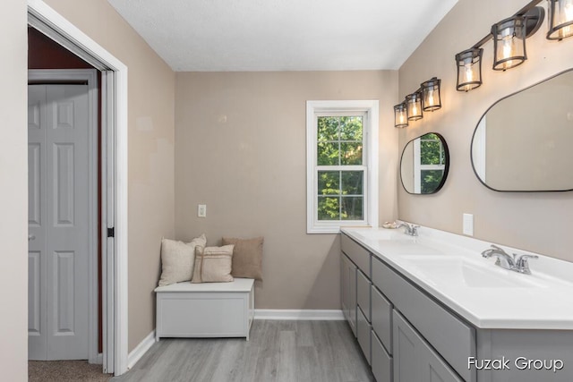 3268 Michele Ln, Hamilton, MI 49419 - bathroom with double vanity and wood finished floors