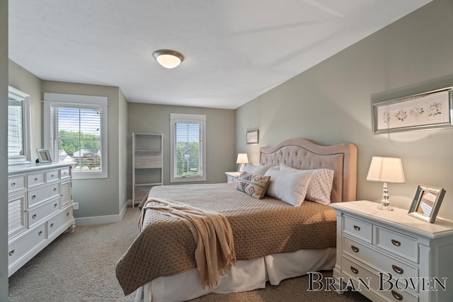 9633 Waterstone Dr, Byron Center, MI 49315 - bedroom featuring carpet flooring and multiple windows
