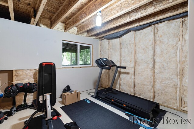 9633 Waterstone Dr, Byron Center, MI 49315 - view of exercise area