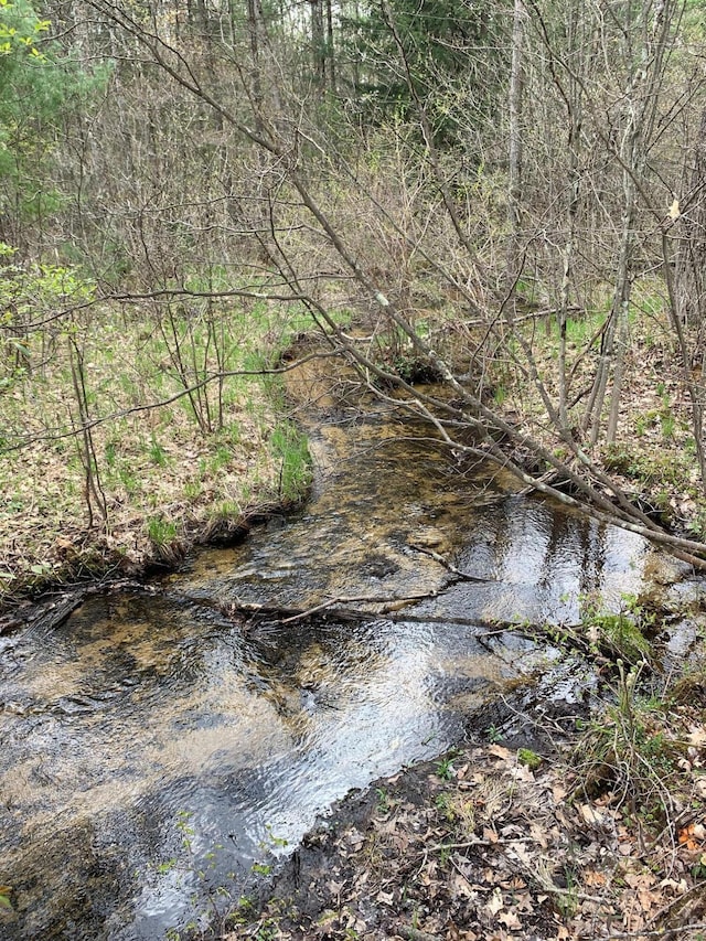 4969 N Highbridge Rd, Brethren, MI 49619 - water view