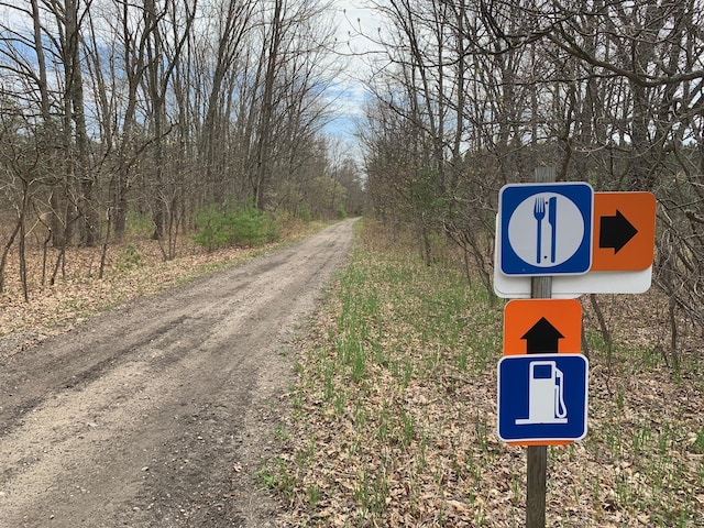 4969 N Highbridge Rd, Brethren, MI 49619 - view of road
