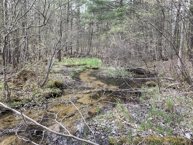 4969 N Highbridge Rd, Brethren, MI 49619 - view of nature