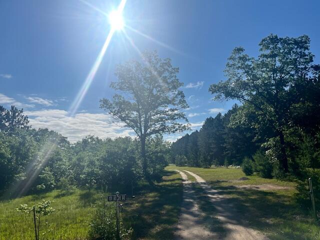 4969 N Highbridge Rd, Brethren, MI 49619 - view of dirt / gravel road featuring a wooded view