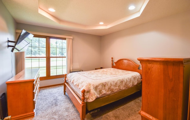 215 W State St, Coldwater, MI 49036 - carpeted bedroom featuring a tray ceiling and recessed lighting