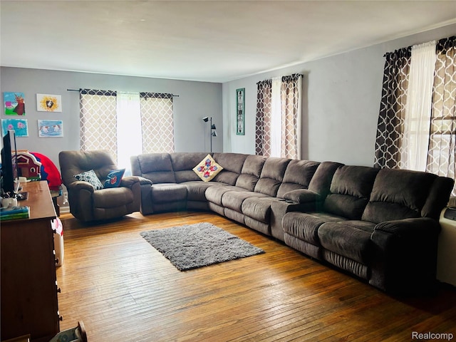 104 Park Ave, Yale, MI 48097 - living area with wood-type flooring