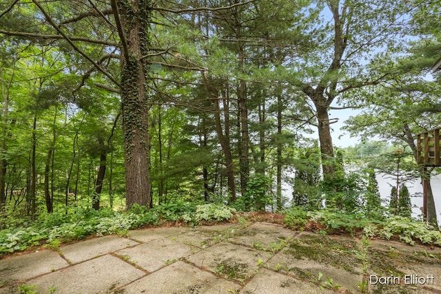 7985 Island View Dr, Newaygo, MI 49337 - view of undeveloped land