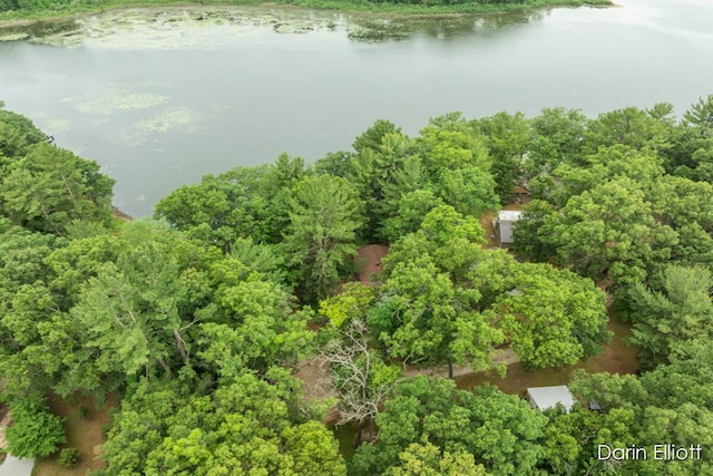 7985 Island View Dr, Newaygo, MI 49337 - aerial view of a large body of water