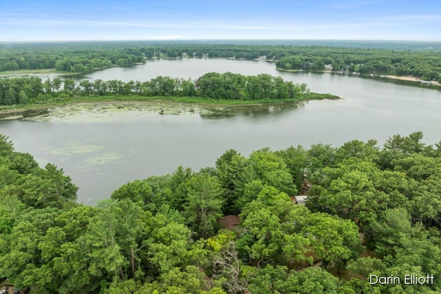 7985 Island View Dr, Newaygo, MI 49337 - aerial view of a large body of water and a forest