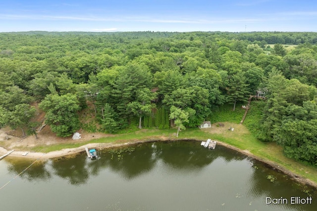 7985 Island View Dr, Newaygo, MI 49337 - aerial view of property's location featuring a forest and a large body of water